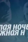 Белая ночь, нежная ночь