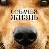 Собачья жизнь