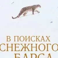 В поисках снежного барса